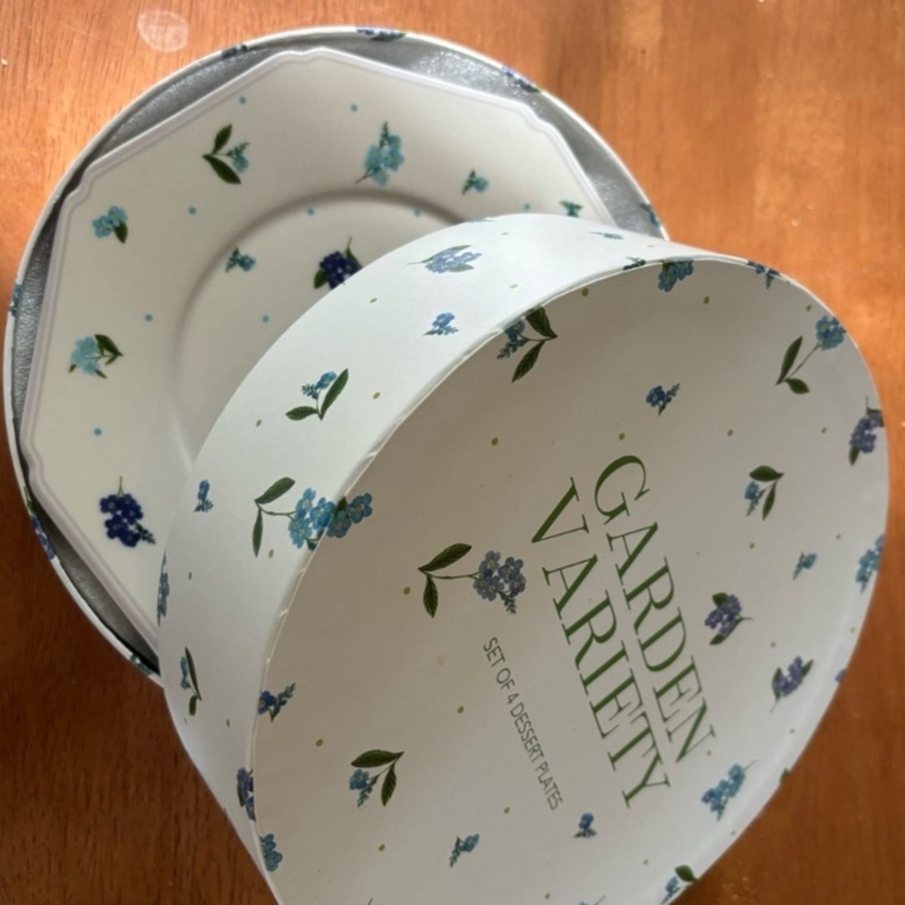 Anthropologie Pia Dessert Plates (4) New in Gift Box - Picture 2 of 5